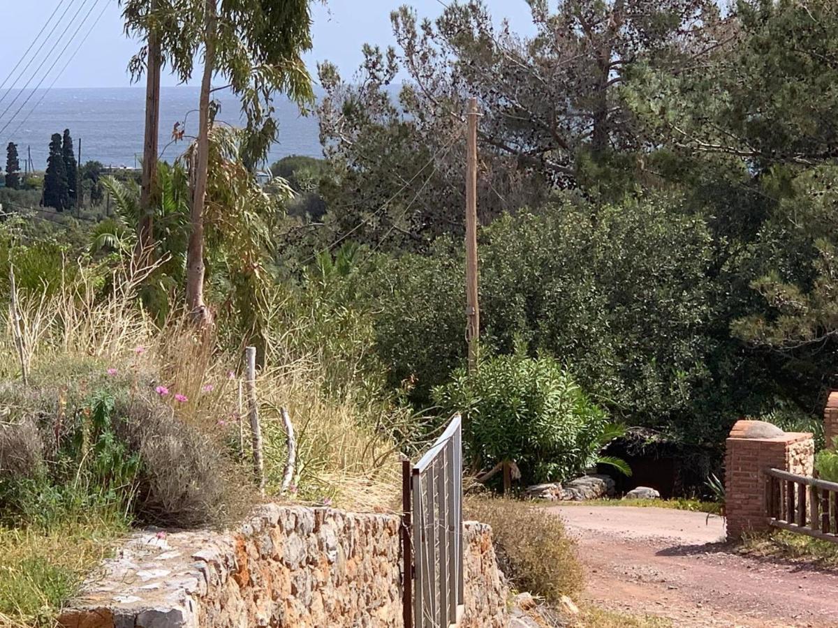 Villa Sea View Mesa Mpanta Zákros Exterior foto